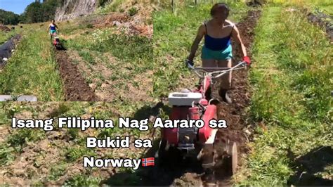 pinay kinantot sa bukid